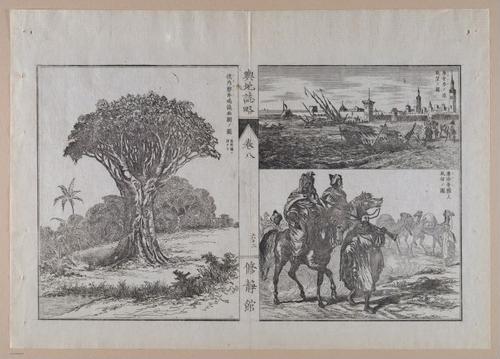 E314 - Japanese Africa 1880 - 8652