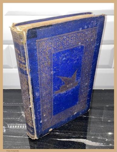 E267 - The Nile Boat - 1852 - i5167