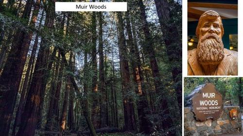 E50 - Muir Woods