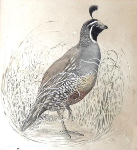 E101 - Quail Painting