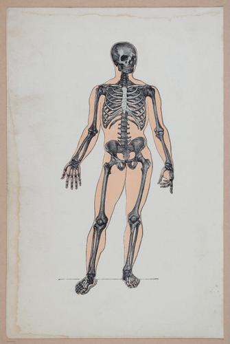 E311 - Hygienic Physiology - i8376