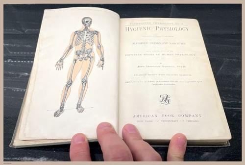 E311 - Hygienic Physiology - i7798