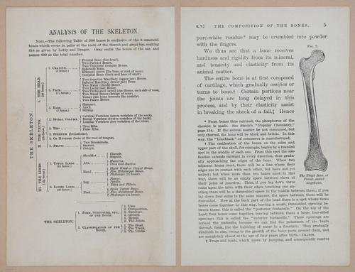 E311 - Hygienic Physiology - i8390-8391