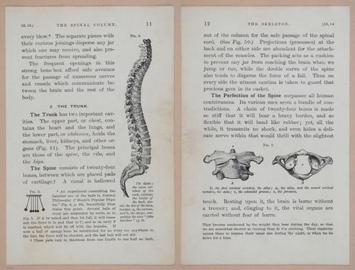 E311 - Hygienic Physiology - i8394-8395