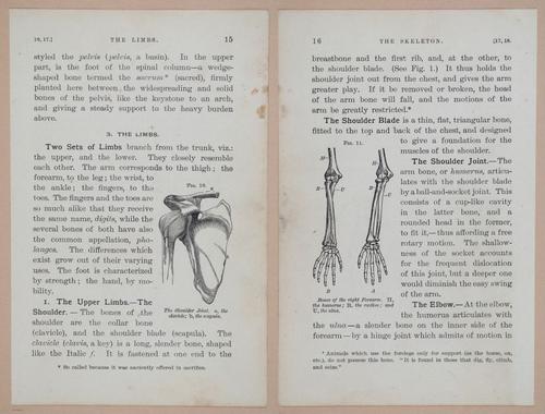 E311 - Hygienic Physiology - i8398-8399