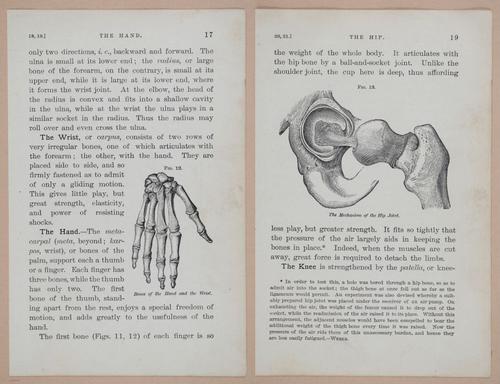 E311 - Hygienic Physiology - i8400-8401