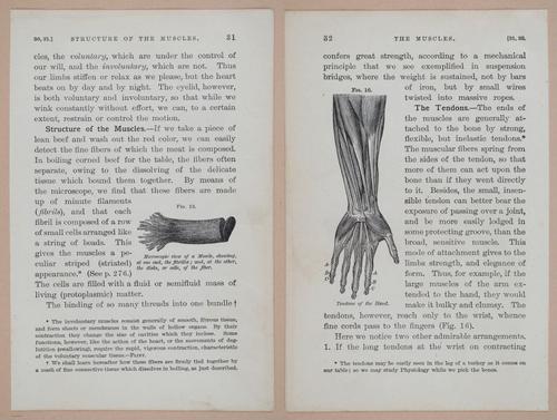 E311 - Hygienic Physiology - i8406-8407