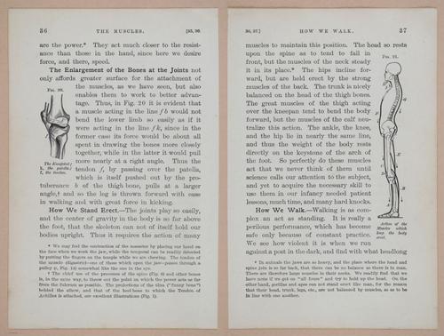 E311 - Hygienic Physiology - i8410-8411