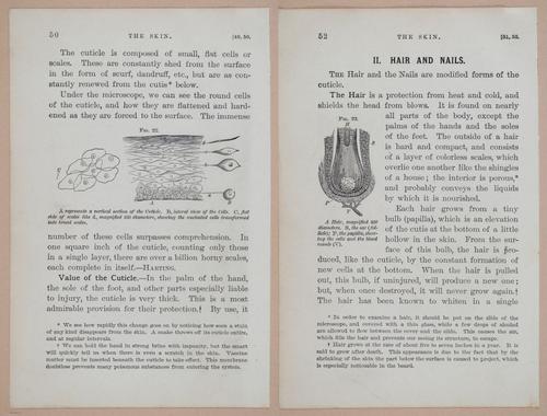 E311 - Hygienic Physiology - i8414-8415