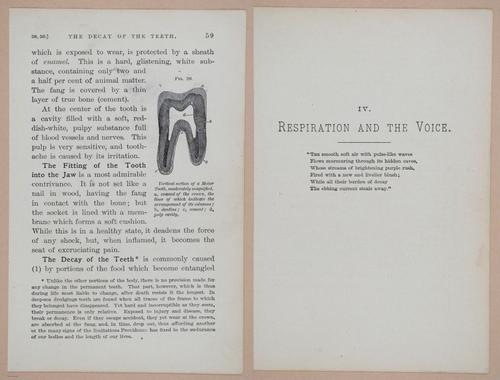 E311 - Hygienic Physiology - i8418-8419