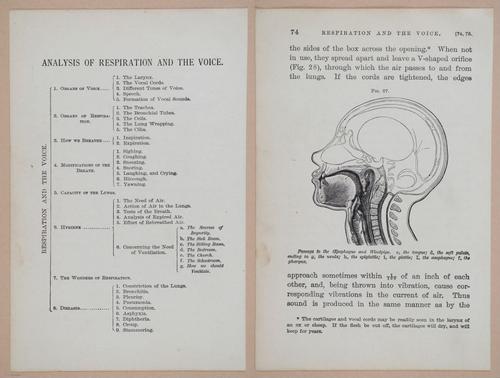 E311 - Hygienic Physiology - i8420-8421