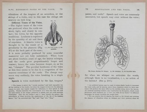 E311 - Hygienic Physiology - i8422-8423