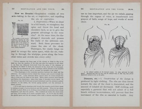 E311 - Hygienic Physiology - i8426-8427