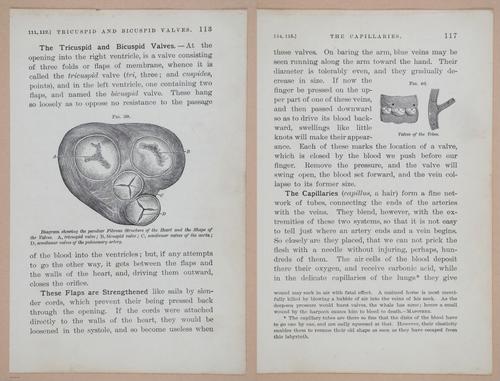 E311 - Hygienic Physiology - i8435-8436