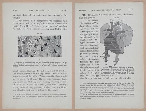 E311 - Hygienic Physiology - i8437-8438