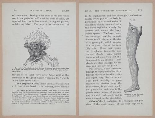 E311 - Hygienic Physiology - i8439-8440