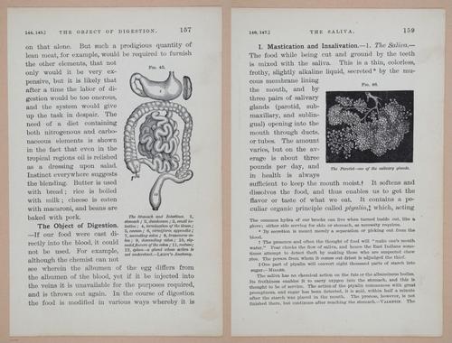 E311 - Hygienic Physiology - i8443-8444