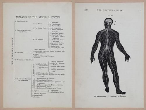 E311 - Hygienic Physiology - i8449-8450