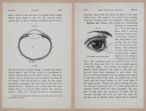 E311 - Hygienic Physiology - i8462-8463