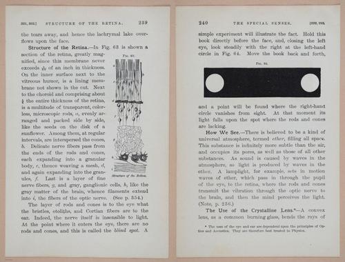E311 - Hygienic Physiology - i8464-8465