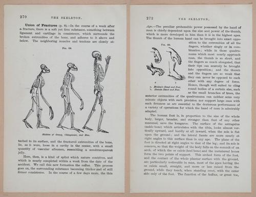 E311 - Hygienic Physiology - i8470-8471