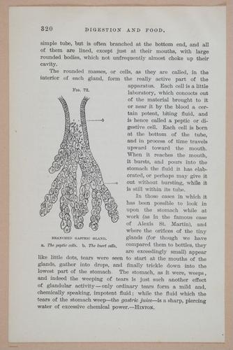 E311 - Hygienic Physiology - i8475