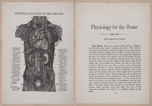 E319 - The Cottage Physician - i8921-8923