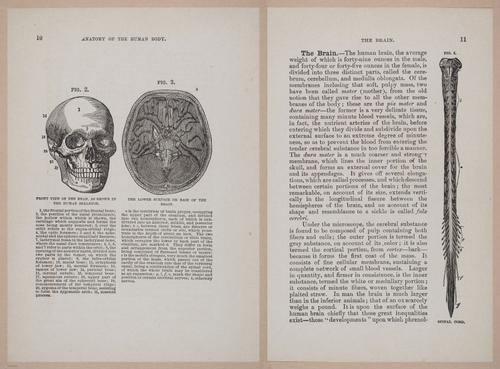 E319 - The Cottage Physician - i8924-8925