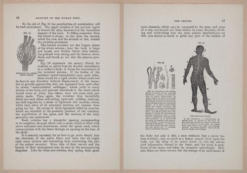 E319 - The Cottage Physician - i8930-8931