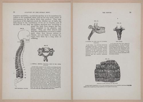 E319 - The Cottage Physician - i8932-8933
