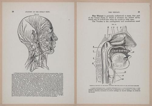 E319 - The Cottage Physician - i8934-8935