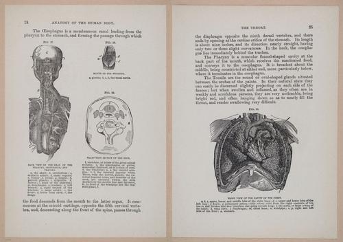 E319 - The Cottage Physician - i8938-8939