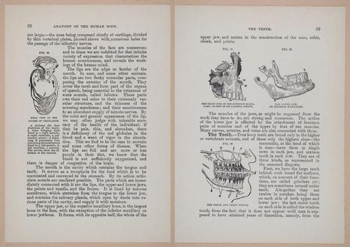 E319 - The Cottage Physician - i8946-8947