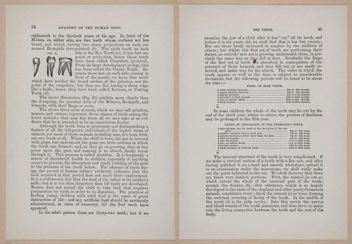 E319 - The Cottage Physician - i8948-8949