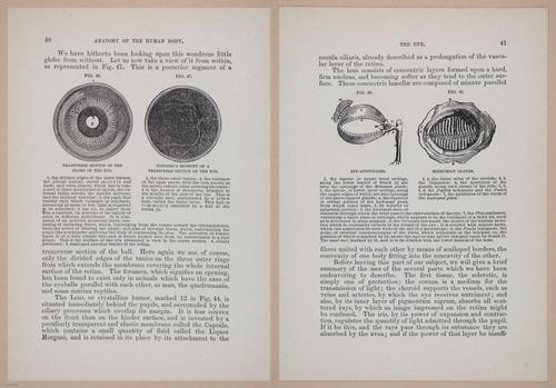 E319 - The Cottage Physician - i8954-8955