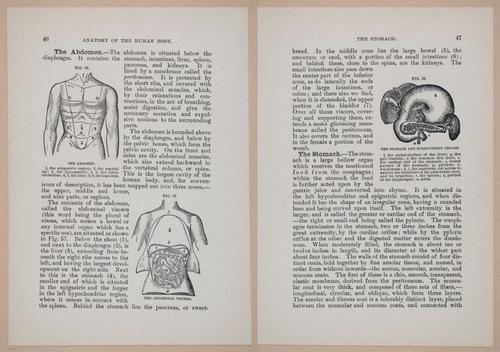 E319 - The Cottage Physician - i8960-8961