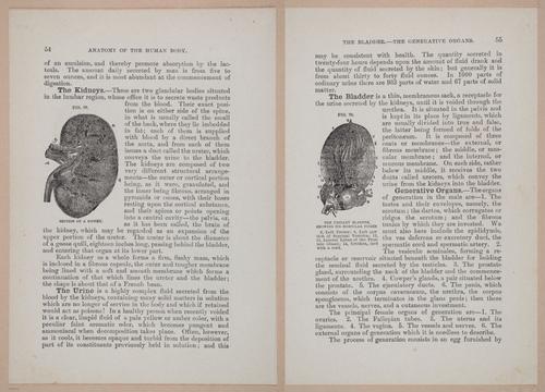 E319 - The Cottage Physician - i8968-8969