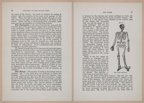 E319 - The Cottage Physician - i8970-8971