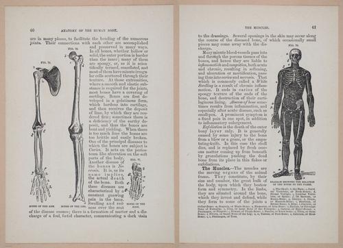 E319 - The Cottage Physician - i8974-8975