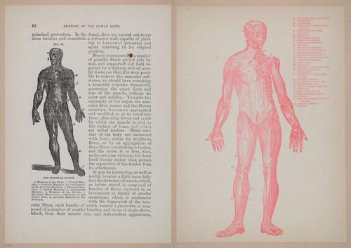 E319 - The Cottage Physician - i8976-8977a