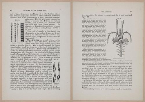 E319 - The Cottage Physician - i8980-8981