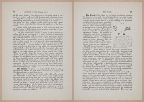 E319 - The Cottage Physician - i8984-8985