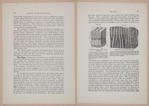 E319 - The Cottage Physician - i8986-8987