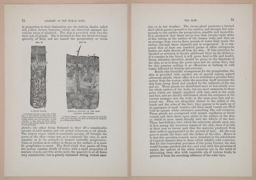 E319 - The Cottage Physician - i8988-8989