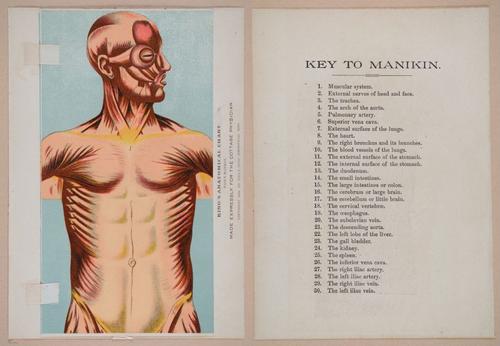 E319 - The Cottage Physician - i8909-8922