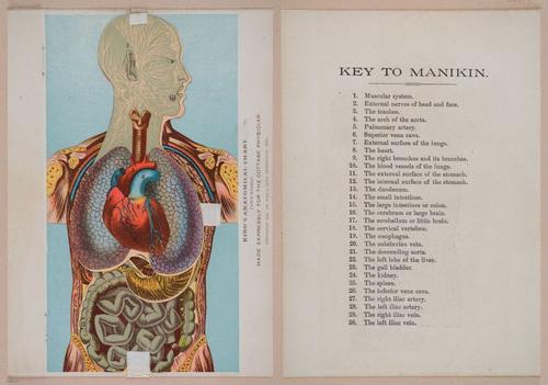 E319 - The Cottage Physician - i8910-8922