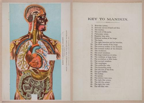 E319 - The Cottage Physician - i8911-8922
