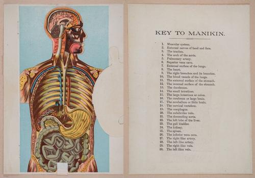 E319 - The Cottage Physician - i8912-8922