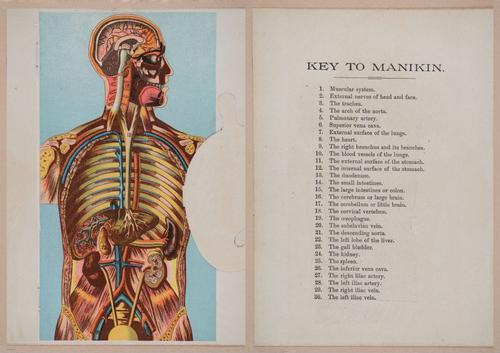 E319 - The Cottage Physician - i8913-8922