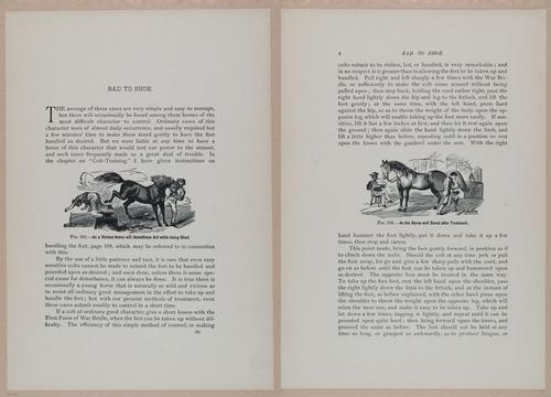 E318 - Sensible Horshoeing - i8662 - 8663